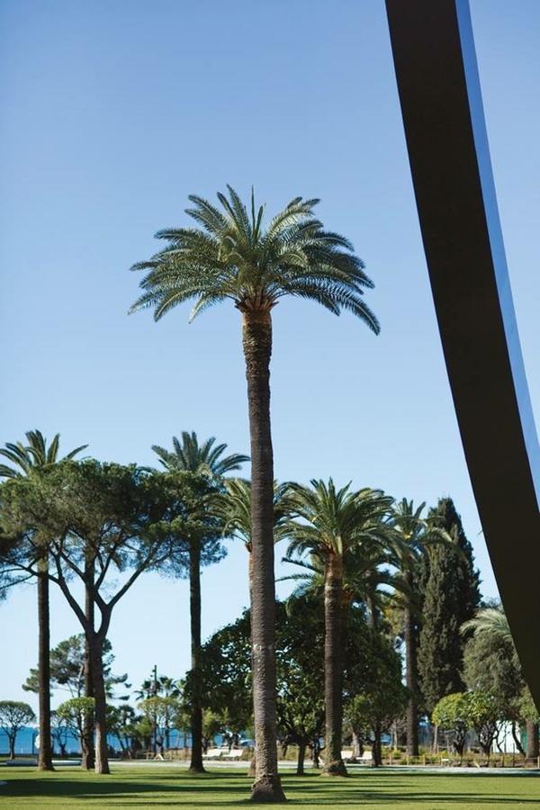 Ferienwohnung Centrale 2 - F4 Spacieux Et Confortable Au Centre Du Vieux-Nizza Exterior foto